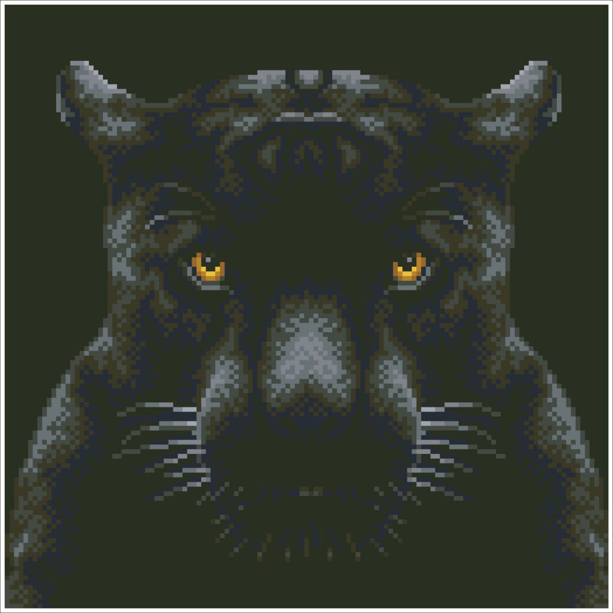 Diamond Dotz® Intermediate if Looks Could Kill Diamond Painting Kit